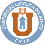 Logo Partner Chile