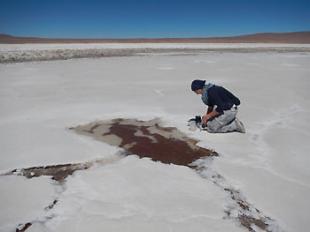 Pond water sampling at the Salar de Huasco Swea Klipsch 1 350px