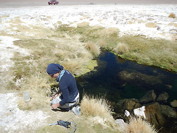 Pond water sampling at the Salar de Huasco Swea Klipsch 2 350px