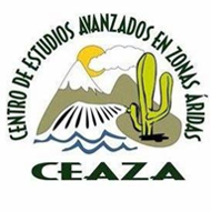 Logo Partner Chile