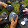 IRTG RTD: How to recognize volcanic rocks and plants in the field